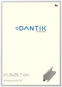 DANTIK rám na obraz 21x29,7 | ALU Stříbrná matná (Sklo Čiré)