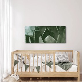 Obraz - Zelená agáve (120x50 cm)