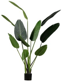 Umelá dekoratívna rastlina Strelitzia 164 cm 164 × 96 × 63 cm