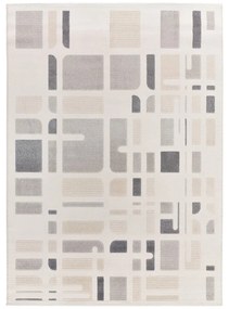 Koberec vo svetlosivej a slonovinovej farbe 80x150 cm Flora – Universal