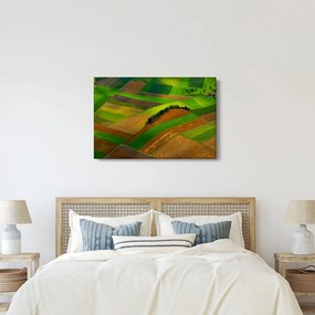 Obraz - Polia, lúky (90x60 cm)