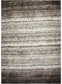 Koberec Shaggy Era 0,8/1,5 2105