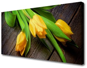 Obraz na plátne Tulipány kvety 100x50 cm