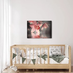 Obraz - Kvety a motýľ (70x50 cm)