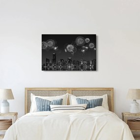 Obraz - Ohňostroj v Miami, čiernobiela (90x60 cm)