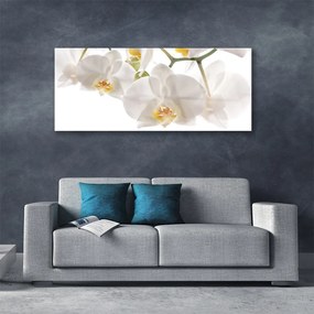 Obraz plexi Orchidea kvety príroda 125x50 cm