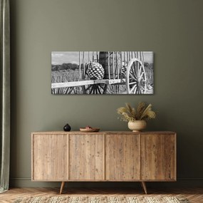 Obraz - Prívesný vozík, čiernobiela (120x50 cm)