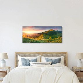 Obraz - Letná krajina (120x50 cm)