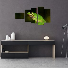 Obraz žaby