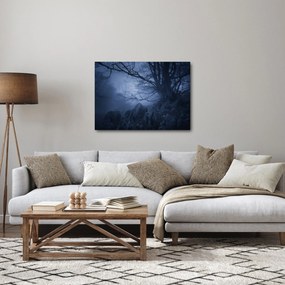 Obraz temného lesa (70x50 cm)