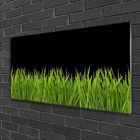 Skleneny obraz Zelená tráva príroda 125x50 cm