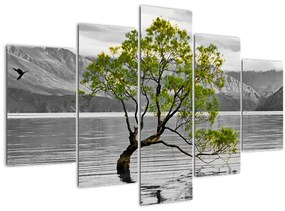 Obraz stromu uprostred jazera (150x105 cm)