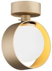 Argon 8567 - Kúpeľňové nástenné svietidlo MASSIMO PLUS 1xG9/6W/230V zlatá