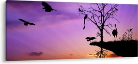 Obraz - Siluety zvierat (120x50 cm)