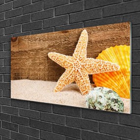 Skleneny obraz Piesok hviezdica umenie 125x50 cm