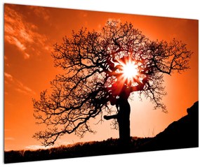 Obraz - Dub pri západe slnka (90x60 cm)