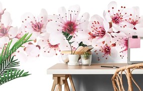 Tapeta čerešňové kvety - 150x100