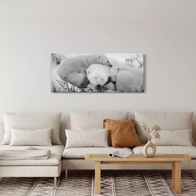 Obraz - Ľadové medvede (120x50 cm)