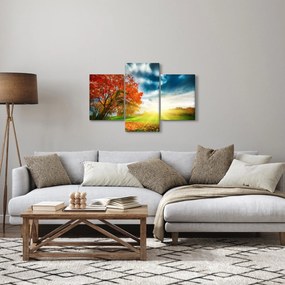 Obraz krajiny zaliate slnečným svitom (90x60 cm)