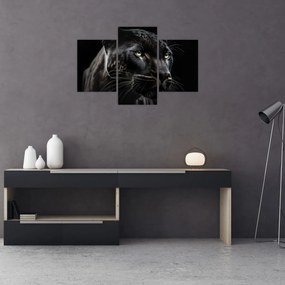 Obraz - Čierny panter (90x60 cm)