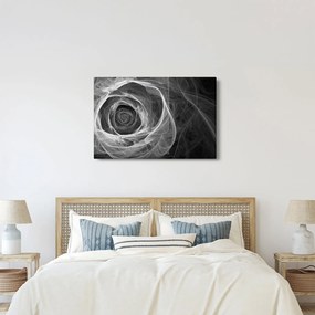 Obraz - Abstraktné ruže čiernobiela (90x60 cm)