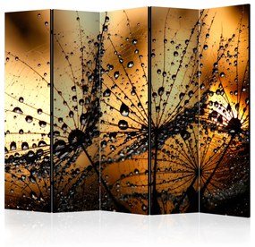 Artgeist Paraván - Dandelions in the Rain II [Room Dividers]