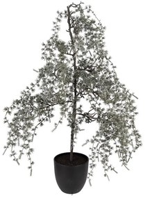 Vianočné dekorácie cédrový stromček v kvetináči Cedar L - 40*40*85 cm