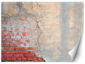 Gario Fototapeta Stará tehlová stena Materiál: Vliesová, Rozmery: 100 x 70 cm