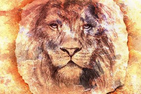 Samolepiaca tapeta pohľad leva