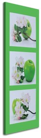 Obraz na plátně Jablko plod Zelený květ - 40x120 cm
