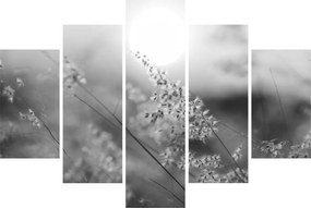 Obraz - Jesenná lúka (150x105 cm)