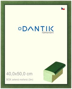 DANTIK rám na obraz 40x50 | BOXzelená mořená (Plexi Čiré)