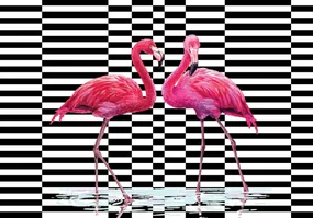 Fototapeta - Plameniak 3D (254x184 cm)