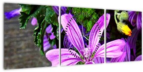 Obraz - lúčne kvety (s hodinami) (90x30 cm)