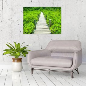 Sklenený obraz - drevený chodník (70x50 cm)