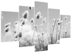 Obraz - Boho bunny tail grass (150x105 cm)