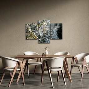 Obraz - Detail vetvy (90x60 cm)