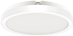 Stropné LED svietidlo Vera, 1x LED 24w, 4000k, w
