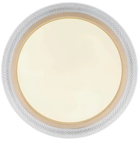 Globo 41372-24 - LED RGBW Stmievateľné stropné svietidlo BOLLY LED/20W/230V + DO