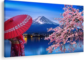 Obraz - Výhľad na vrchol, Japonsko (90x60 cm)