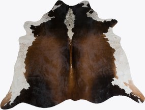 Koža z argentínskej kravy hnedá 003