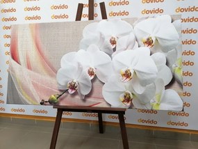 Obraz biela orchidea na plátne - 120x60