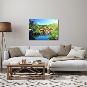 Obraz jazera v Seychelskej džungli (70x50 cm)