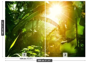 Fototapeta Vliesová Džungľa vietnam 104x70 cm