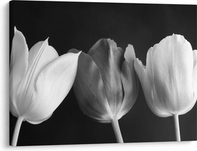 Obraz - Čiernobiele kvety tulipánov (70x50 cm)