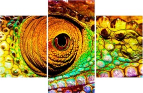 Obraz - Chameleon (90x60 cm)