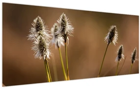 Obraz - Travina (120x50 cm)