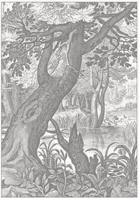 Vliesová tapeta Engraved Landscapes