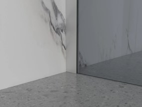 Erga Paris, sprchová zástena Walk-In 70x200 cm, 8mm šedé sklo, brúsená oceľ, ERG-V02-PARIS-070x200-GR-BS