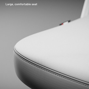 Ergonomická kancelárska stolička svetlosivá Diablo V-Light